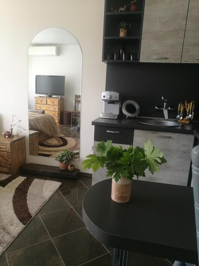 Studio Anastasia Sapareva Banya Buitenkant foto