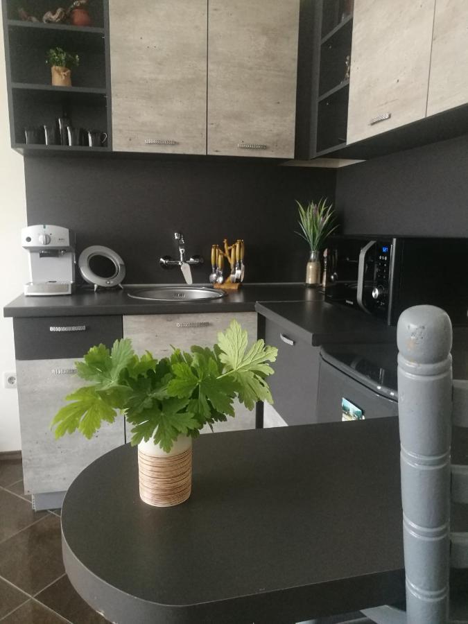 Studio Anastasia Sapareva Banya Buitenkant foto
