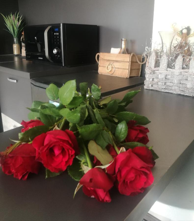 Studio Anastasia Sapareva Banya Buitenkant foto